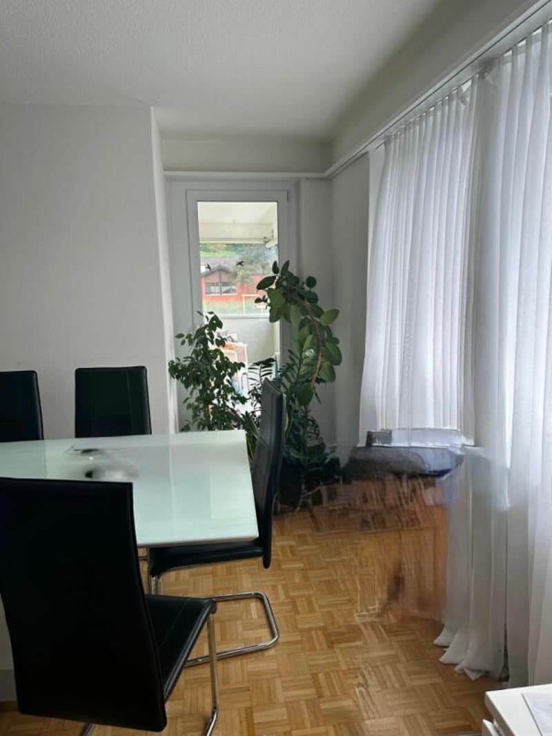 Appartamento di 3,5 locali al piano terra - Oberackerstrasse 4, 5113 Holderbank (5)