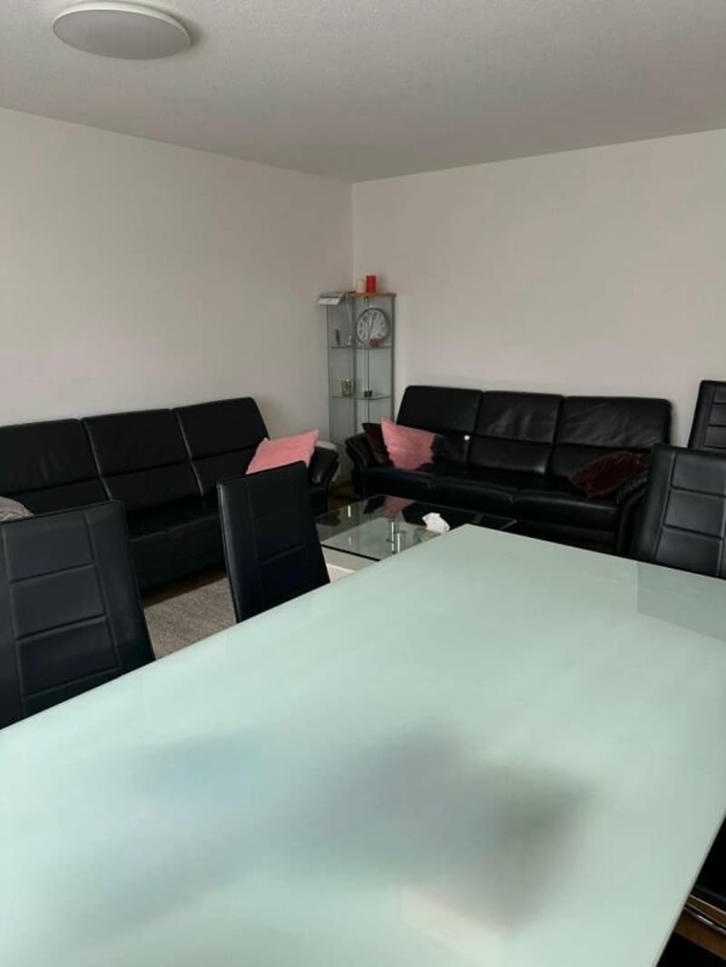 Appartamento di 3,5 locali al piano terra - Oberackerstrasse 4, 5113 Holderbank (4)