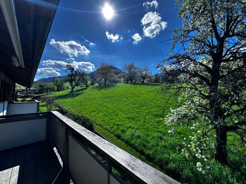 Vivere con vista panoramica - Appartamento da sogno in maisonette con galleria & 2 balconi (16)