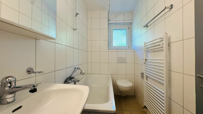 Appartamento di 3 locali luminoso con bella vista in una zona tranquilla a Waldenburg (5)