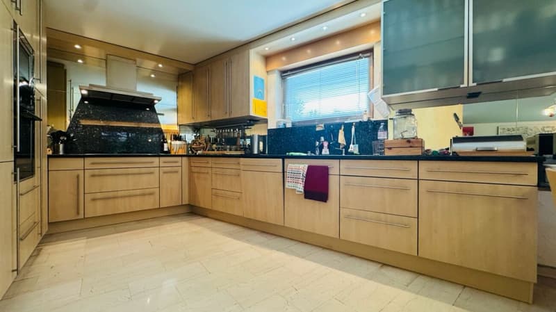 Sustainable 7.5-room single-family house with photovoltaic system, pool, sauna & fitness (7)