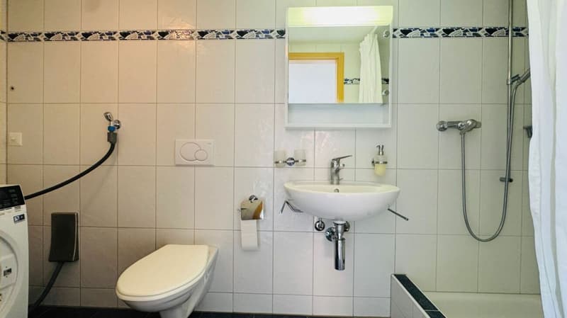 Appartement 5 pièces avec plusieurs terrasses et un parking inclus (9)