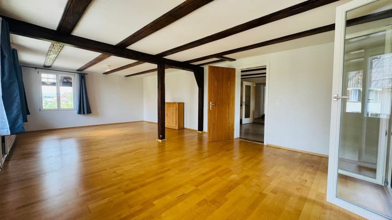 Appartement 5 pièces avec plusieurs terrasses et un parking inclus (3)