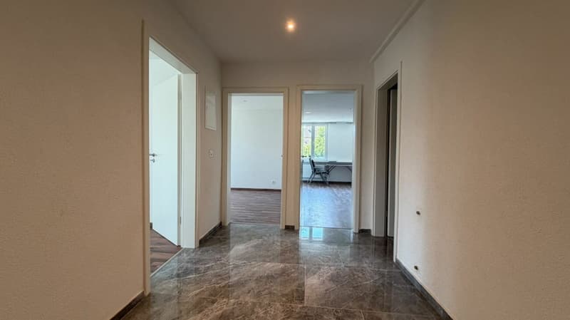 Appartamento a mansarda di 5 locali luminoso con ampia terrazza a Gelterkinden (3)