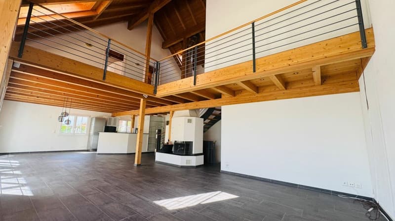 Casa unifamiliare di 4,5 locali con piscina, sauna, serra, garage doppio & vista (11)