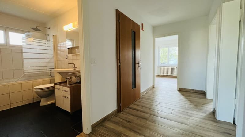 Charmant appartement de jardin 3.5 pièces avec rénovations, espace de séjour et beau jardin (8)