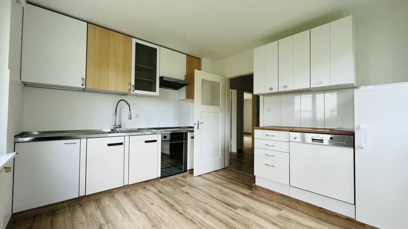 Charmant appartement de jardin 3.5 pièces avec rénovations, espace de séjour et beau jardin (2)