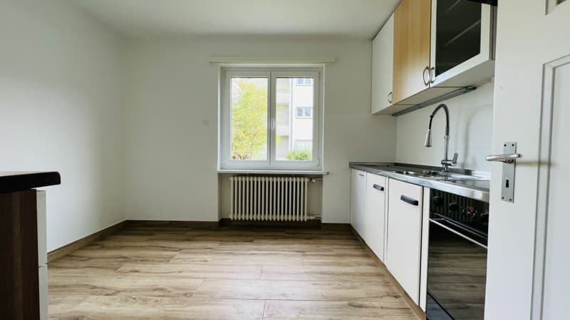 Charmant appartement de jardin 3.5 pièces avec rénovations, espace de séjour et beau jardin (3)