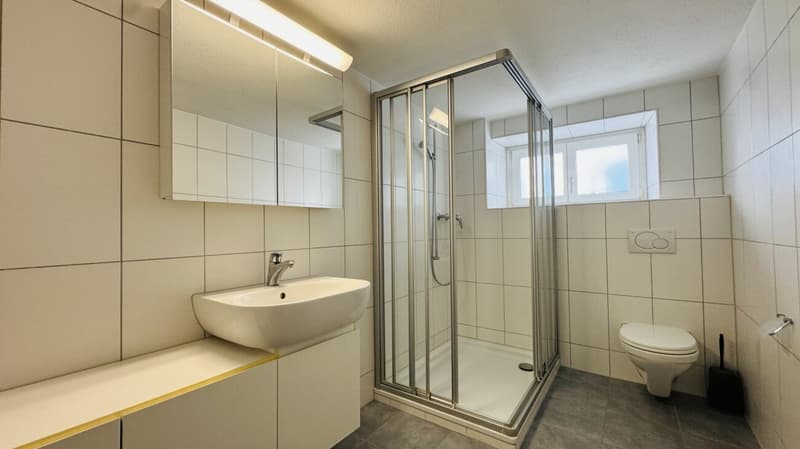 Maison bifamiliale facile d'entretien avec 2 unités de vie, garage et 4-5 places de parking à Ramlinsburg (8)