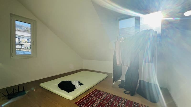 Modern 5.5-room new-build single-family house with 2 bathrooms, carport, parking space & garden in Duggingen (9)