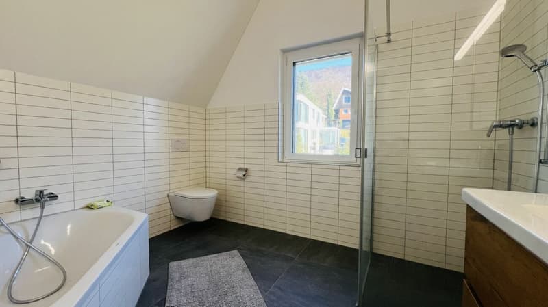 Modern 5.5-room new-build single-family house with 2 bathrooms, carport, parking space & garden in Duggingen (12)