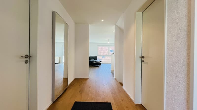 Modern 5.5-room new-build single-family house with 2 bathrooms, carport, parking space & garden in Duggingen (6)