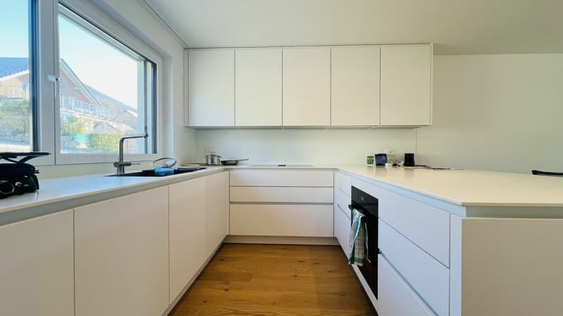 Modern 5.5-room new-build single-family house with 2 bathrooms, carport, parking space & garden in Duggingen (1)