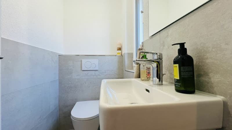 Modern 5.5-room new-build single-family house with 2 bathrooms, carport, parking space & garden in Duggingen (3)