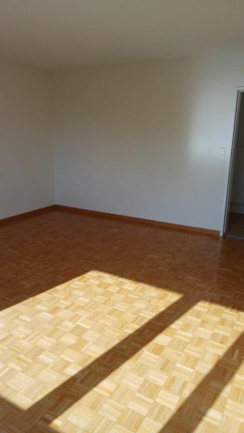 3.5-room apartment on the ground floor - Oberackerstrasse 4, 5113 Holderbank (19)
