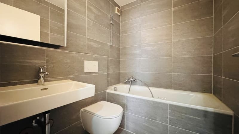 Schöne 3.5-Zimmer-Wohnung mit neuer Küche, neuem Bad, kleinem Balkon und Kellerabteil (3)