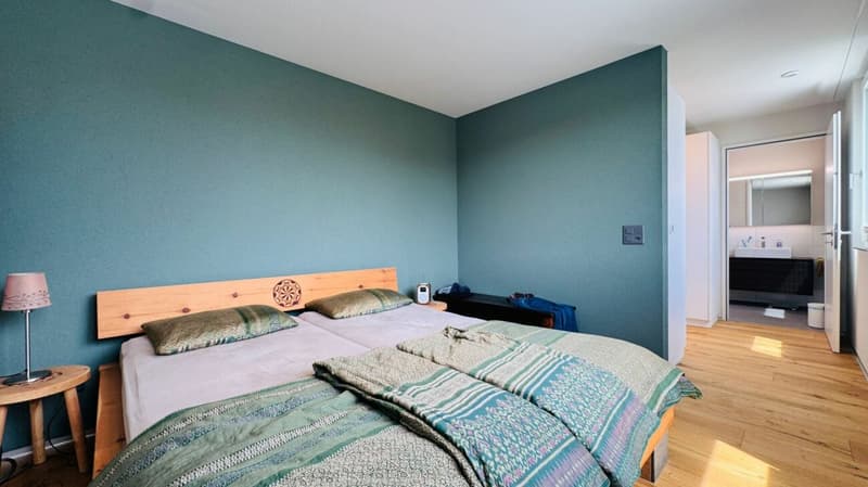 Newly valued 5.5-room attic apartment with large terrace, 2 bathrooms and 3 AEHP (14)