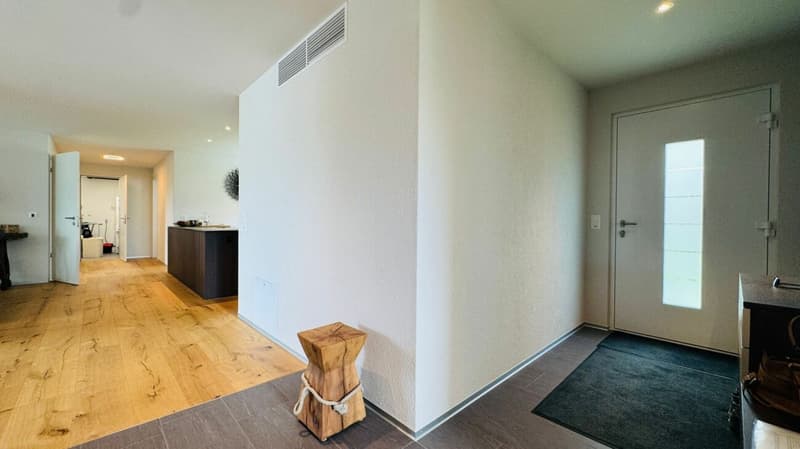 Newly valued 5.5-room attic apartment with large terrace, 2 bathrooms and 3 AEHP (2)