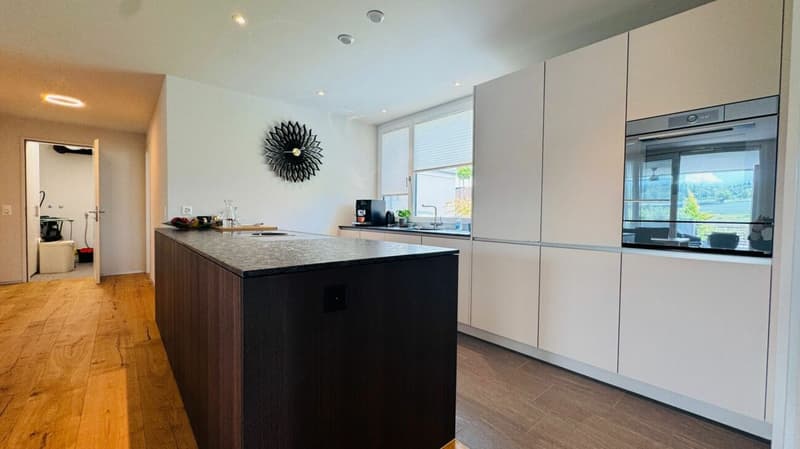 Newly valued 5.5-room attic apartment with large terrace, 2 bathrooms and 3 AEHP (4)