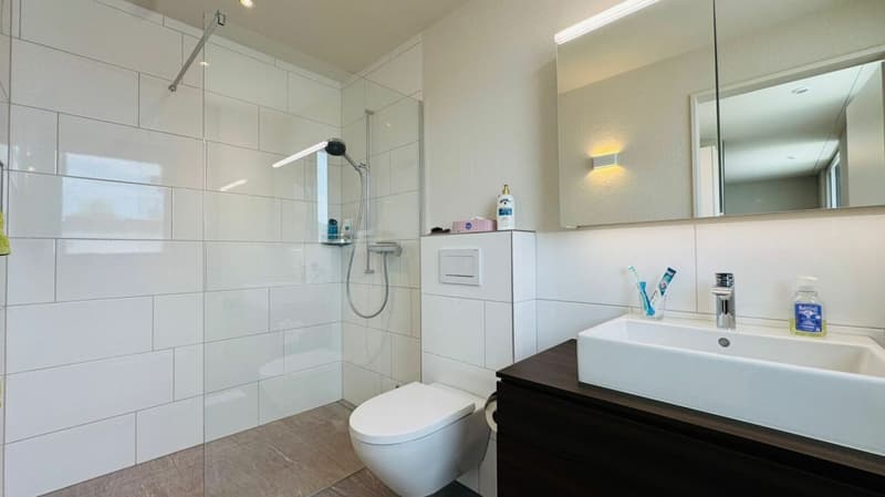 Newly valued 5.5-room attic apartment with large terrace, 2 bathrooms and 3 AEHP (10)