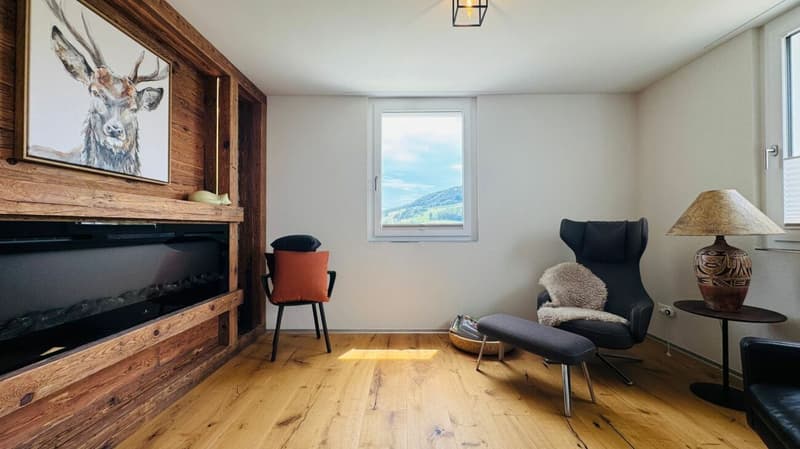 Newly valued 5.5-room attic apartment with large terrace, 2 bathrooms and 3 AEHP (11)