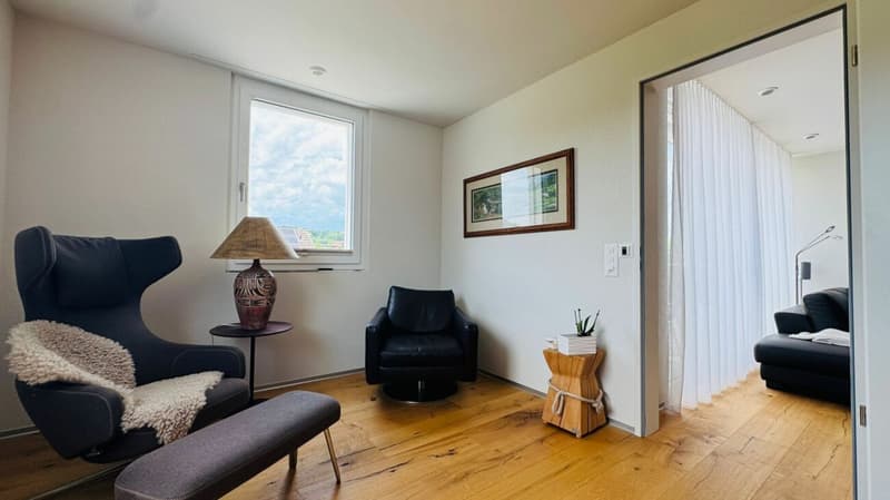 Newly valued 5.5-room attic apartment with large terrace, 2 bathrooms and 3 AEHP (12)
