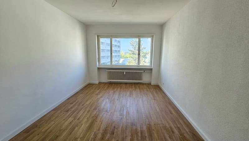 Ampio appartamento ristrutturato di 2,5 locali con balcone, torre di lavanderia & cantina - senza ascensore, a Basilea (7)