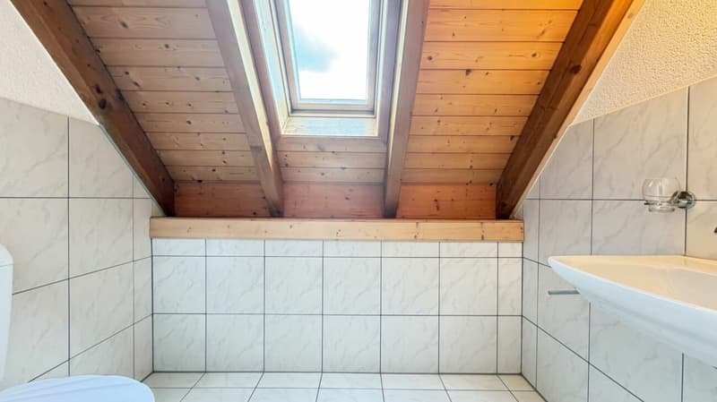 Spacious 5.5-room house with garage, 4 outdoor parking spaces, and roof terrace (13)