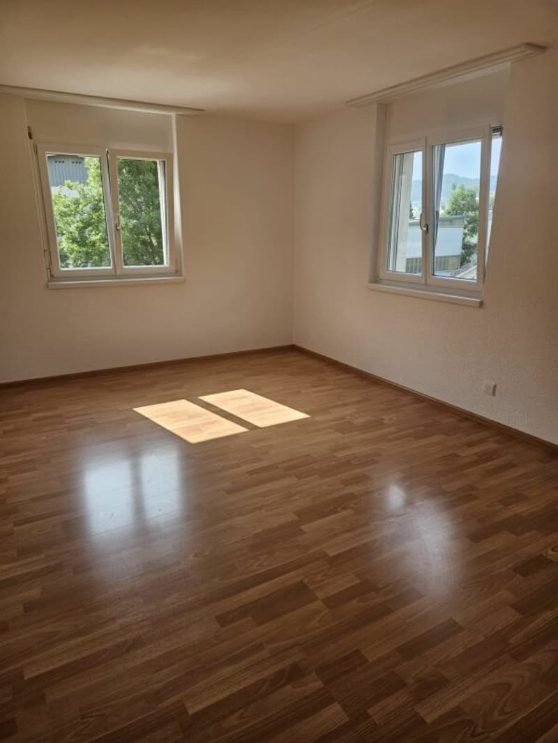 Spacious 5.5-room house with garage, 4 outdoor parking spaces, and roof terrace (9)