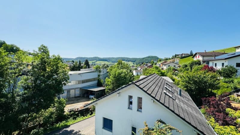Spacious 5.5-room house with garage, 4 outdoor parking spaces, and roof terrace (22)