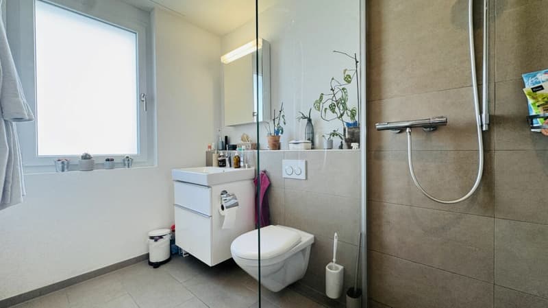 Neuwertige 4.5-Zimmer-EG Wohnung, 2 Nasszellen, Loggia, Gartenanteil, Lift, Keller und 1 AEHP (12)