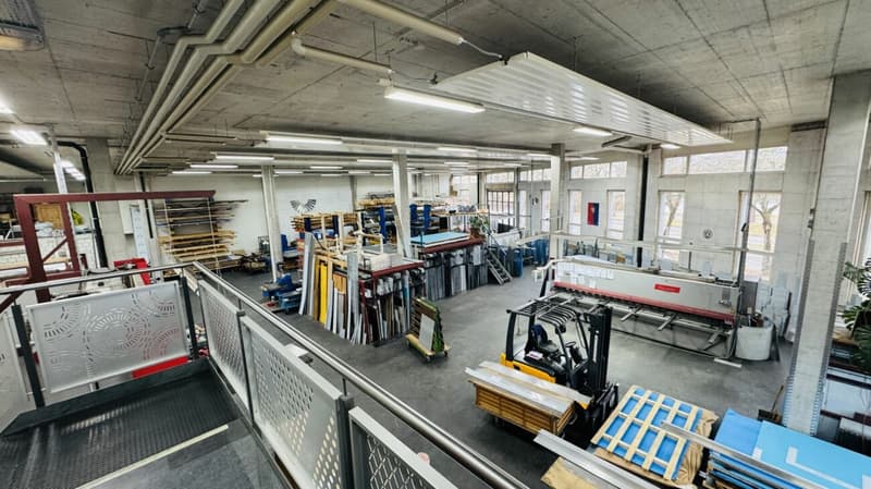 Sala commerciale con soffitto alto, grande appartamento in mansarda di 5,5 locali, ascensore e 6 posti auto (2)