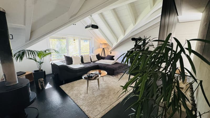 6.5-Zimmer-Architektenhaus mit Pool, Garagenbox, 3 Parkplätzen und Weitsicht (23)