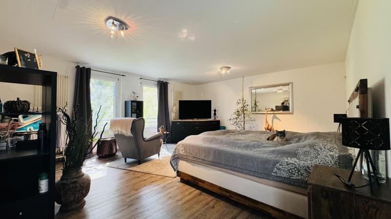 6.5-Zimmer-Architektenhaus mit Pool, Garagenbox, 3 Parkplätzen und Weitsicht (29)