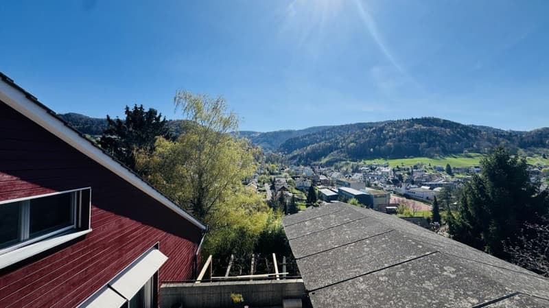 6.5-Zimmer-Architektenhaus mit Pool, Garagenbox, 3 Parkplätzen und Weitsicht (4)