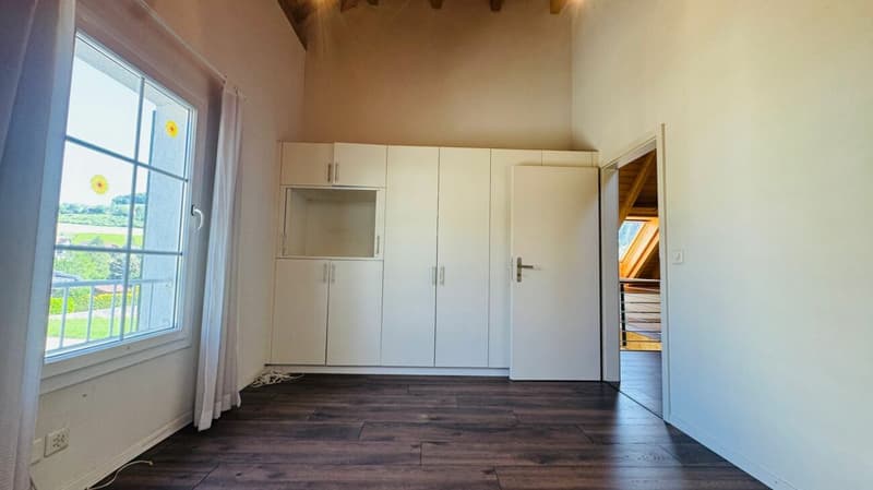 Freistehendes 4.5-Zimmer-Einfamilienhaus mit Pool, Sauna, Wintergarten, Doppelgarage & Aussicht (8)