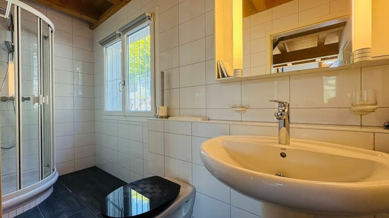 Freistehendes 4.5-Zimmer-Einfamilienhaus mit Pool, Sauna, Wintergarten, Doppelgarage & Aussicht (19)