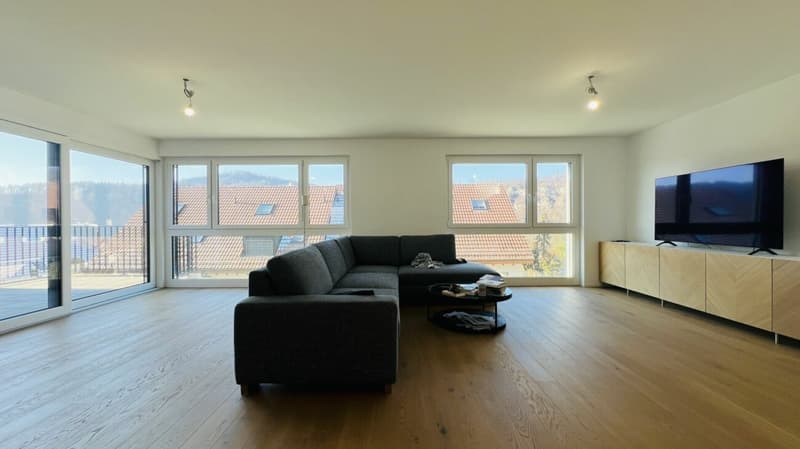 Modernes 5.5-Zimmer-Neubau-Einfamilienhaus mit 2 Bädern, Carport, Parkplatz & Garten in Duggingen (4)