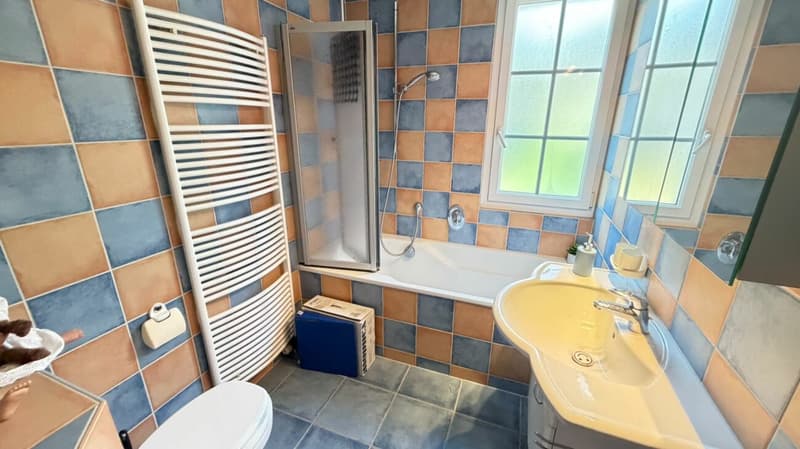 Grosszügiges Doppeleinfamilienhaus mit Garten, Garagenbox und Ausbaupotenzial (7)