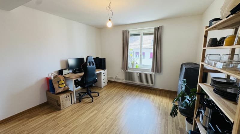 Neuwertige 3-Zimmerwohnung im 4. OG ohne Lift und ohne Balkon - mit eigener WM/TU (4)