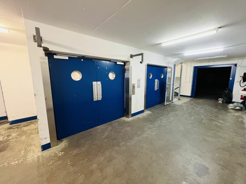 Raum für Ihre Ideen - 48m² kreativ nutzbar (2)