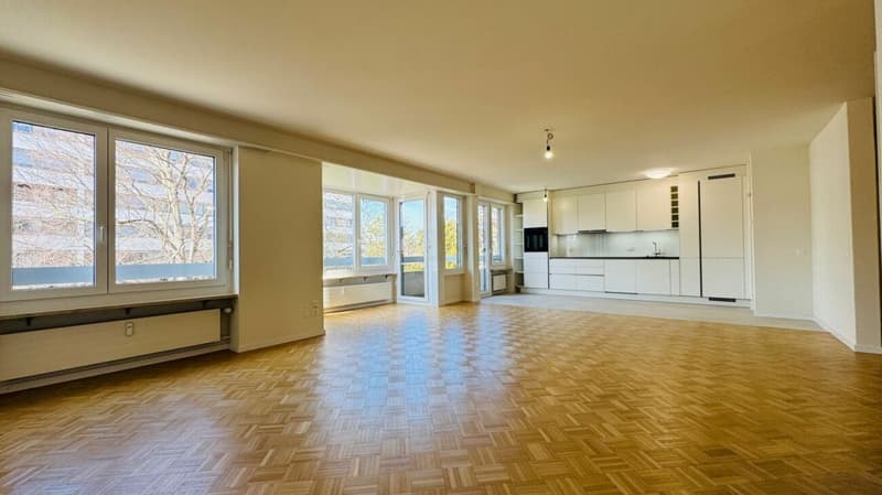 Komplett sanierte 3.5-Zimmerwohnung mit 2 Bädern, 2 Balkonen und 1 Tiefgaragenplatz (10)