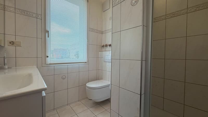 Generationenhaus mit 6.5-Zimmer-Maisonette und vermieteter 3-Zimmerwohnung (16)