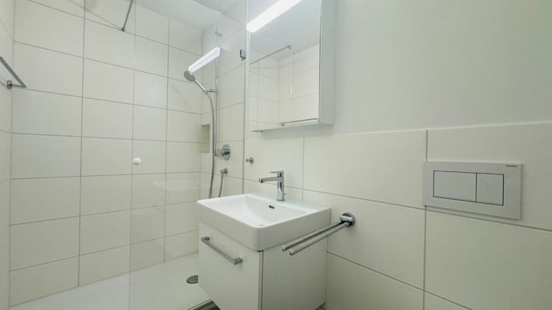 Totalsanierte 2.5-Zimmer-Wohnung mit Hobbyraum, Balkon, Estrich, Keller und Tiefgaragenplatz (13)