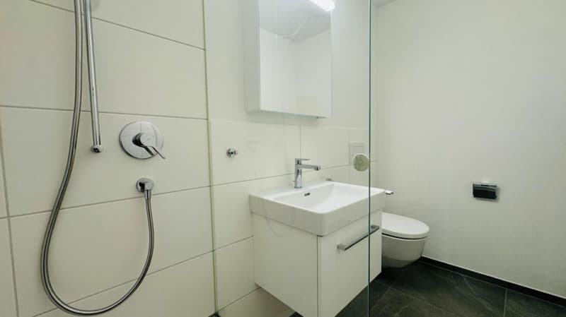Totalsanierte 2.5-Zimmer-Wohnung mit Hobbyraum, Balkon, Estrich, Keller und Tiefgaragenplatz (12)