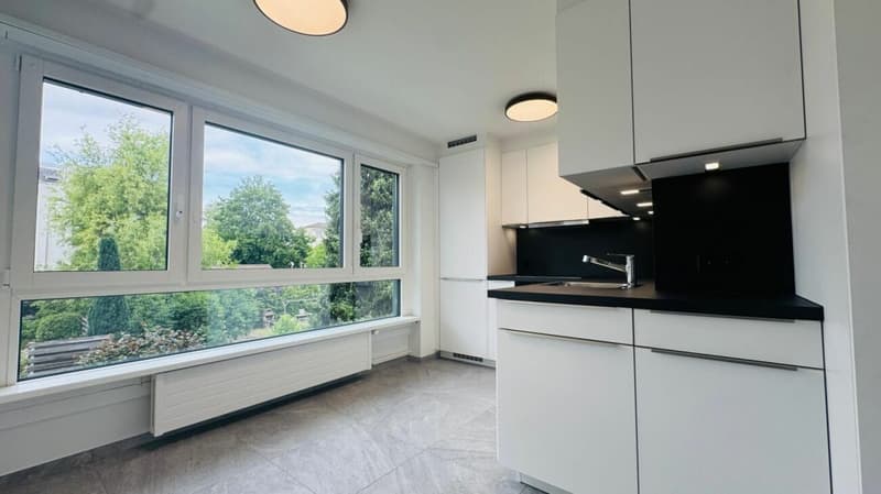 Totalsanierte 2.5-Zimmer-Wohnung mit Hobbyraum, Balkon, Estrich, Keller und Tiefgaragenplatz (4)