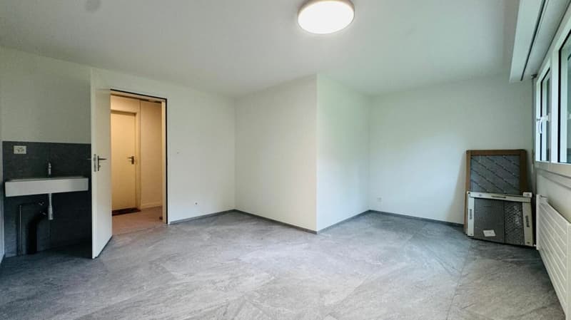 Totalsanierte 2.5-Zimmer-Wohnung mit Hobbyraum, Balkon, Estrich, Keller und Tiefgaragenplatz (10)