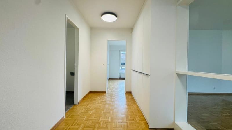 Totalsanierte 2.5-Zimmer-Wohnung mit Hobbyraum, Balkon, Estrich, Keller und Tiefgaragenplatz (2)