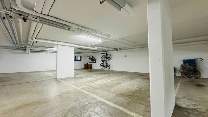 Totalsanierte 2.5-Zimmer-Wohnung mit Hobbyraum, Balkon, Estrich, Keller und Tiefgaragenplatz (16)