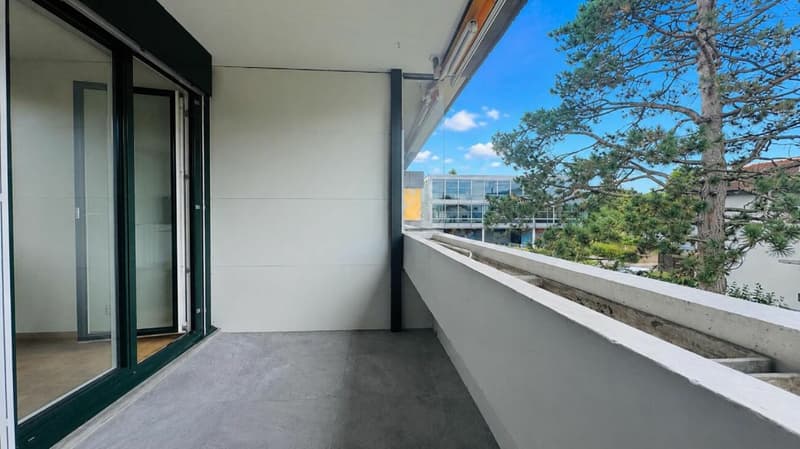 Totalsanierte 2.5-Zimmer-Wohnung mit Hobbyraum, Balkon, Estrich, Keller und Tiefgaragenplatz (11)